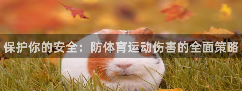 ug环球官网登录入口：保护你的安全：防体育运动伤害的全面策略