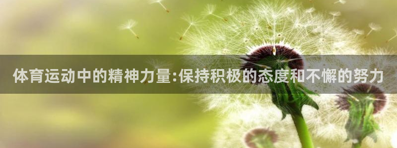 菲律宾ug环球官网：体育运动中的精神力量:保持积极的态度和不懈的努力