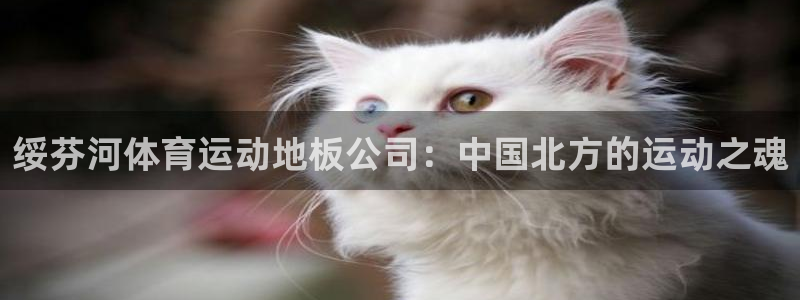 菲律宾ug环球官网：绥芬河体育运动地板公司：中国北方的运动之魂