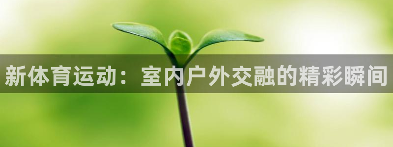 ug环球官网注册：新体育运动：室内户外交融的精彩瞬间