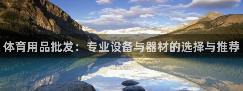 ug环球官网：体育用品批发：专业设备与器材的选择与推荐