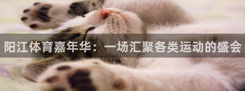 ug环球官网：阳江体育嘉年华：一场汇聚各类运动的盛会