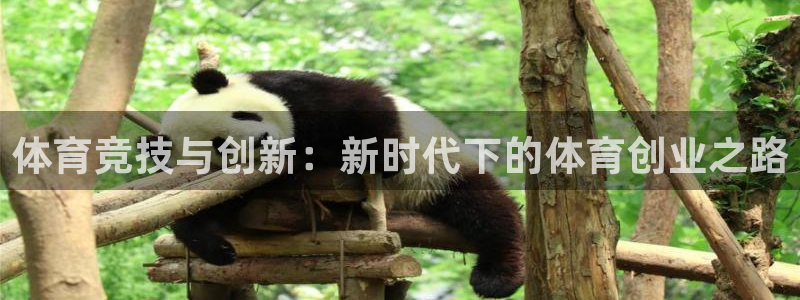 菲律宾ug环球官网：体育竞技与创新：新时代下的体育创业之路