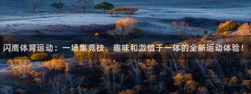 ug环球官网：闪鹰体育运动：一场集竞技、趣味和激情于一体的全新运动体验！