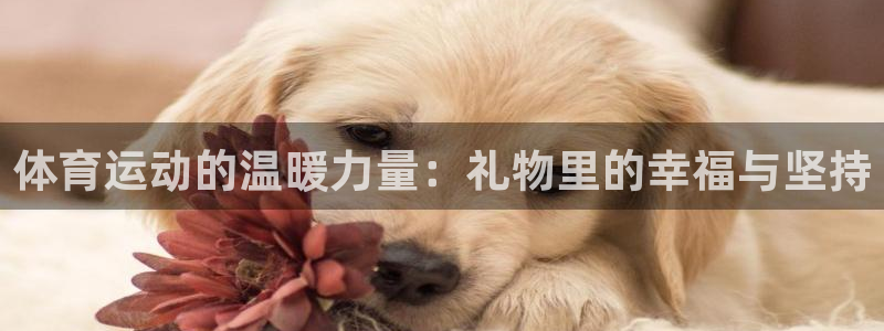 菲律宾ug环球官网：体育运动的温暖力量：礼物里的幸福与坚持