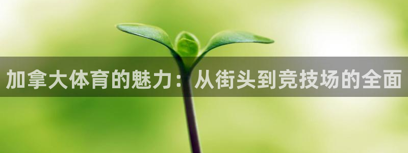 ug环球官网