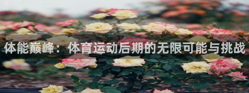 ug环球官网登录入口